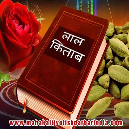 Mahakali Jyotish Darbar Jalandhar Punjab India